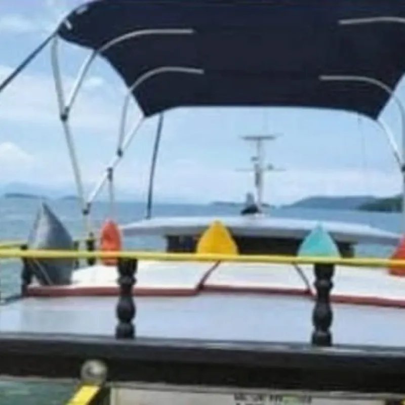 Photo of Traineira RPM
