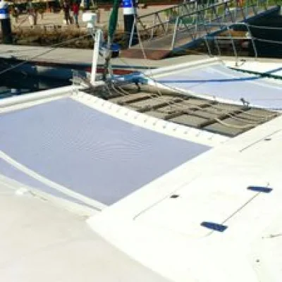 Photo of CRN Cat